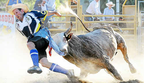 A day at the office is no walk in the park for Gympie bullfighter Clinton Clem. Clem was Queensland Bullfighter of the Year in 2010. A day at the office is no walk in the park for Gympie bullfighter Clinton Clem. Clem was Queensland Bullfighter of the Year in 2010.